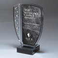 Small Champagne Accent Lucite Shield Award w/ Black Marble Base
